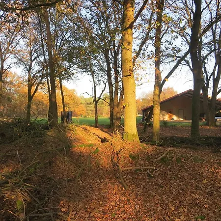 Bed & Breakfast Peel En Bos *